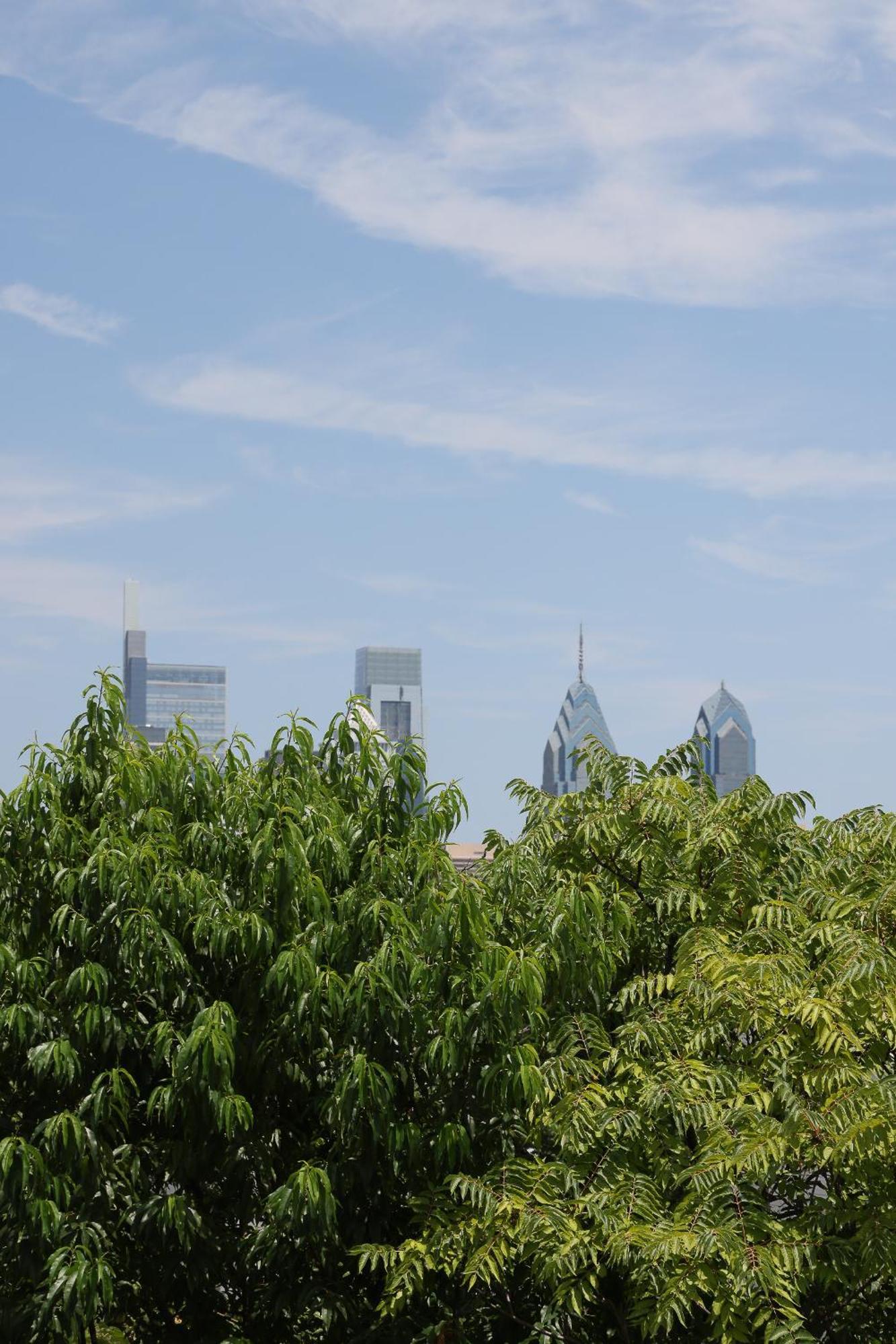Peaceful Zen Getaway In The City Filadelfia Esterno foto